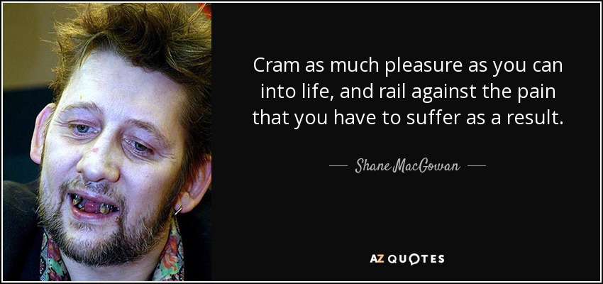 Cram as much pleasure as you can into life, and rail against the pain that you have to suffer as a result. - Shane MacGowan