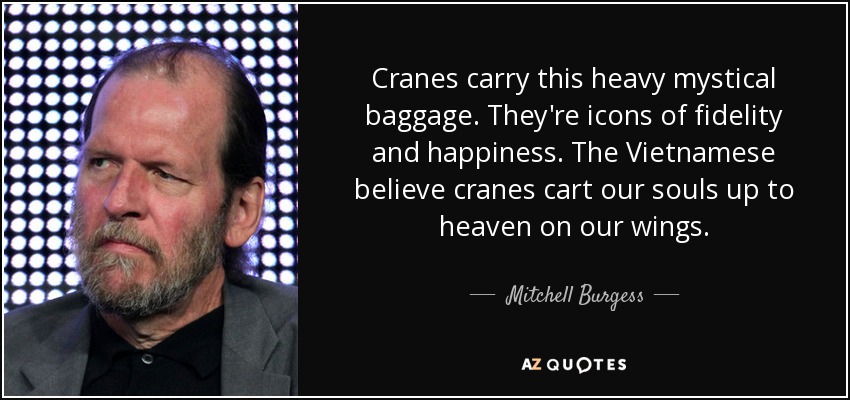 Cranes carry this heavy mystical baggage. They're icons of fidelity and happiness. The Vietnamese believe cranes cart our souls up to heaven on our wings. - Mitchell Burgess