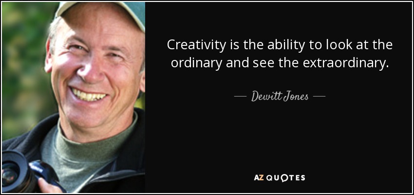 Creativity is the ability to look at the ordinary and see the extraordinary. - Dewitt Jones