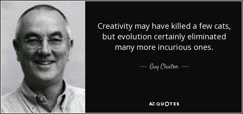Creativity may have killed a few cats, but evolution certainly eliminated many more incurious ones. - Guy Claxton
