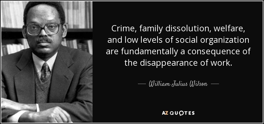 Crime, family dissolution, welfare, and low levels of social organization are fundamentally a consequence of the disappearance of work. - William Julius Wilson