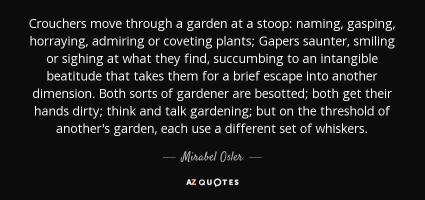 Crouchers move through a garden at a stoop: naming, gasping, horraying, admiring or coveting plants; Gapers saunter, smiling or sighing at what they find, succumbing to an intangible beatitude that takes them for a brief escape into another dimension. Both sorts of gardener are besotted; both get their hands dirty; think and talk gardening; but on the threshold of another's garden, each use a different set of whiskers. - Mirabel Osler