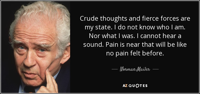 Crude thoughts and fierce forces are my state. I do not know who I am. Nor what I was. I cannot hear a sound. Pain is near that will be like no pain felt before. - Norman Mailer