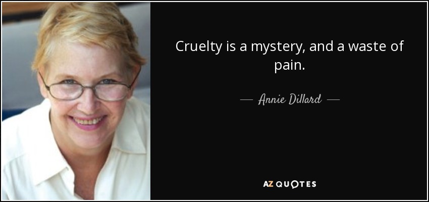 Cruelty is a mystery, and a waste of pain. - Annie Dillard