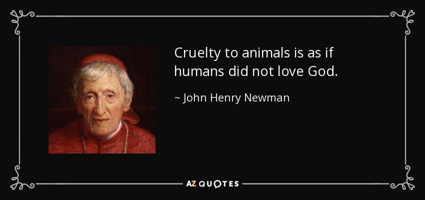 Cruelty to animals is as if humans did not love God. - John Henry Newman