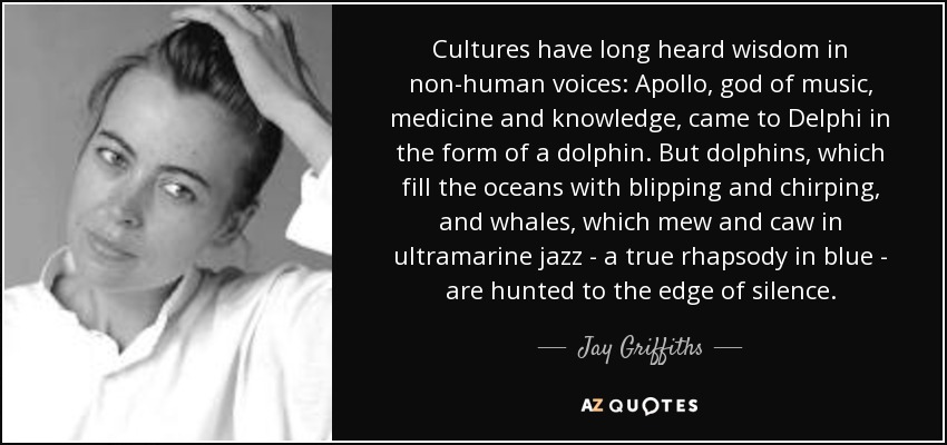 Cultures have long heard wisdom in non-human voices: Apollo, god of music, medicine and knowledge, came to Delphi in the form of a dolphin. But dolphins, which fill the oceans with blipping and chirping, and whales, which mew and caw in ultramarine jazz - a true rhapsody in blue - are hunted to the edge of silence. - Jay Griffiths