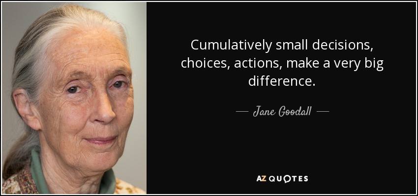 Cumulatively small decisions, choices, actions, make a very big difference. - Jane Goodall