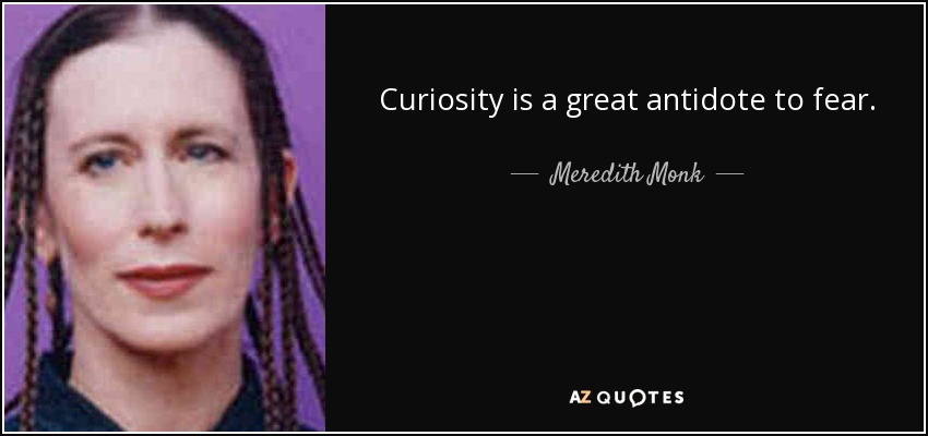 Curiosity is a great antidote to fear. - Meredith Monk