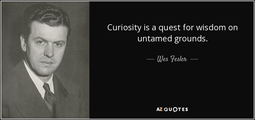 Curiosity is a quest for wisdom on untamed grounds. - Wes Fesler