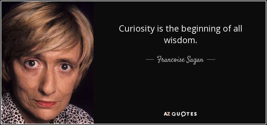 Curiosity is the beginning of all wisdom. - Francoise Sagan