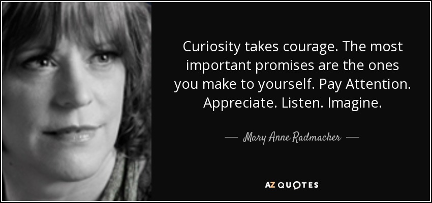 Curiosity takes courage. The most important promises are the ones you make to yourself. Pay Attention. Appreciate. Listen. Imagine. - Mary Anne Radmacher
