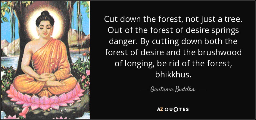 Cut down the forest, not just a tree. Out of the forest of desire springs danger. By cutting down both the forest of desire and the brushwood of longing, be rid of the forest, bhikkhus. - Gautama Buddha