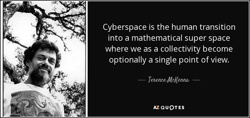 Cyberspace is the human transition into a mathematical super space where we as a collectivity become optionally a single point of view. - Terence McKenna