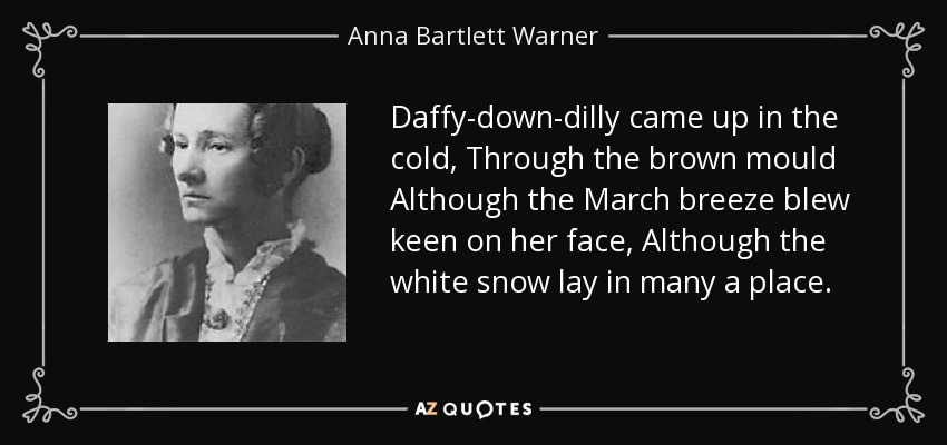 Daffy-down-dilly came up in the cold, Through the brown mould Although the March breeze blew keen on her face, Although the white snow lay in many a place. - Anna Bartlett Warner