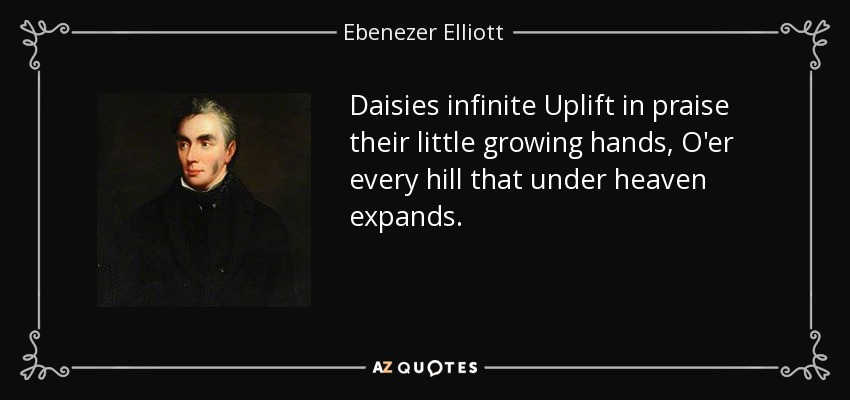 Daisies infinite Uplift in praise their little growing hands, O'er every hill that under heaven expands. - Ebenezer Elliott