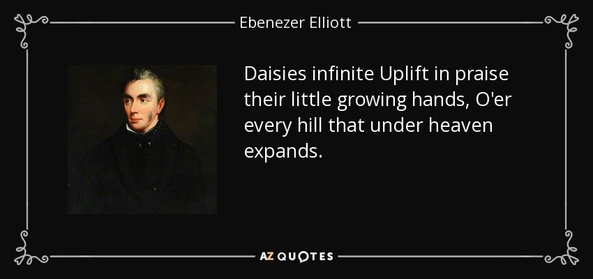 Daisies infinite Uplift in praise their little growing hands, O'er every hill that under heaven expands. - Ebenezer Elliott