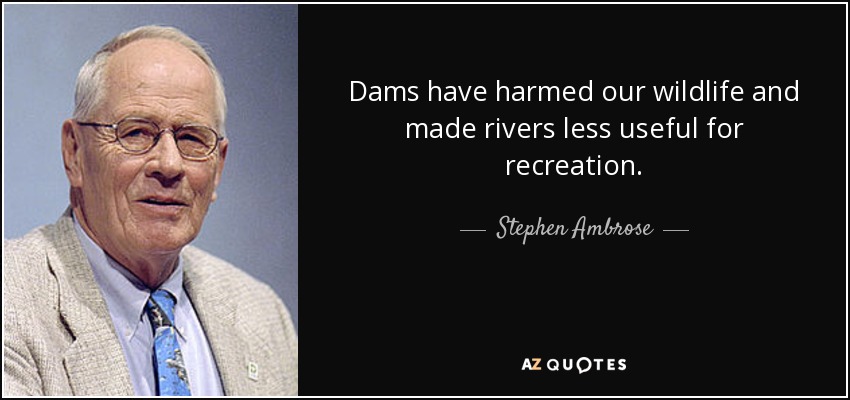 Dams have harmed our wildlife and made rivers less useful for recreation. - Stephen Ambrose