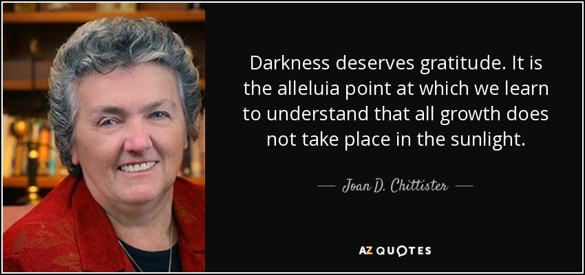 Darkness deserves gratitude. It is the alleluia point at which we learn to understand that all growth does not take place in the sunlight. - Joan D. Chittister