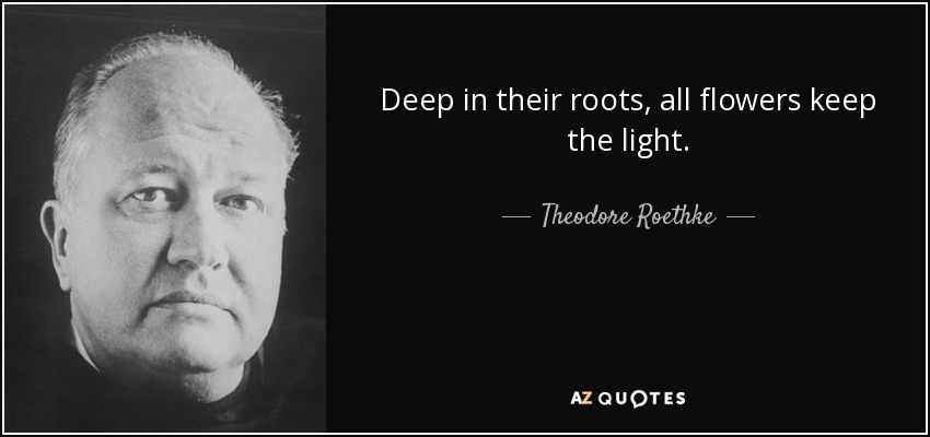 Deep in their roots, all flowers keep the light. - Theodore Roethke