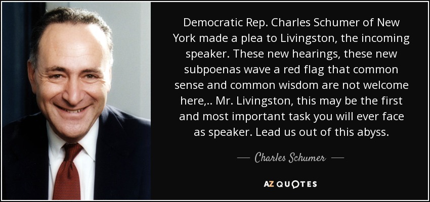 Democratic Rep. Charles Schumer of New York made a plea to Livingston, the incoming speaker. These new hearings, these new subpoenas wave a red flag that common sense and common wisdom are not welcome here, .. Mr. Livingston, this may be the first and most important task you will ever face as speaker. Lead us out of this abyss. - Charles Schumer