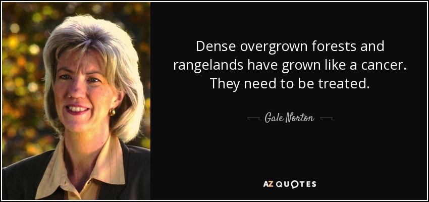 Dense overgrown forests and rangelands have grown like a cancer. They need to be treated. - Gale Norton