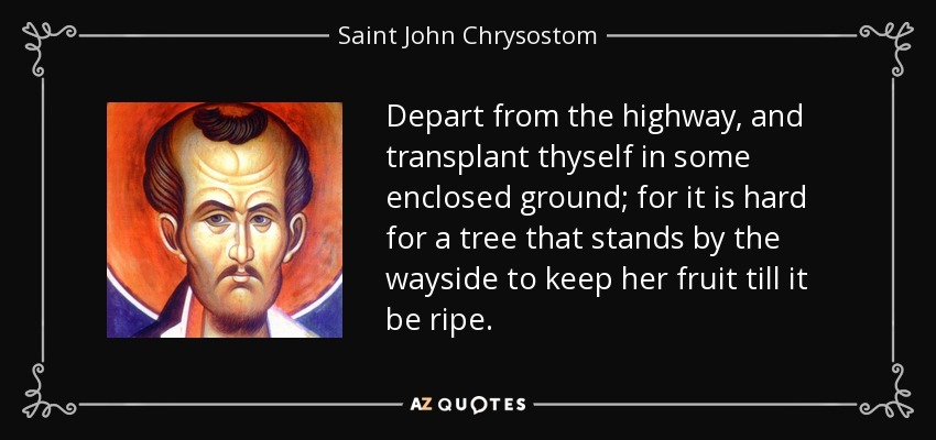 Depart from the highway, and transplant thyself in some enclosed ground; for it is hard for a tree that stands by the wayside to keep her fruit till it be ripe. - Saint John Chrysostom