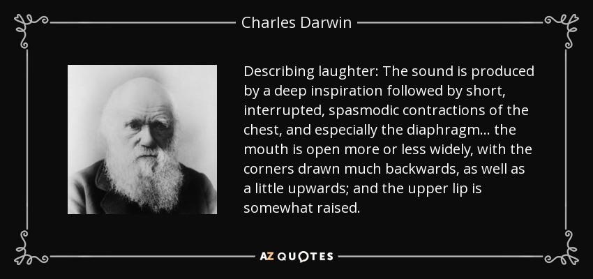 Describing laughter: The sound is produced by a deep inspiration followed by short, interrupted, spasmodic contractions of the chest, and especially the diaphragm... the mouth is open more or less widely, with the corners drawn much backwards, as well as a little upwards; and the upper lip is somewhat raised. - Charles Darwin