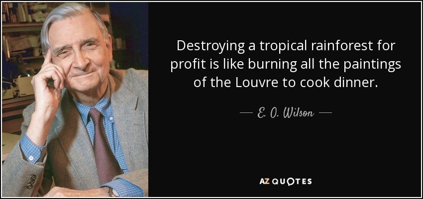 Destroying a tropical rainforest for profit is like burning all the paintings of the Louvre to cook dinner. - E. O. Wilson