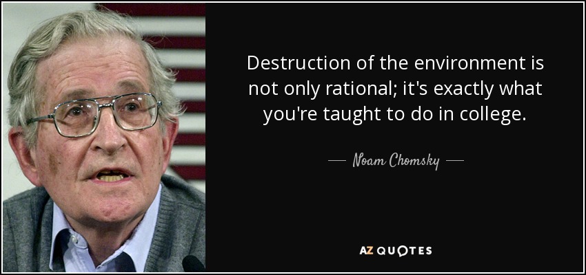 Destruction of the environment is not only rational; it's exactly what you're taught to do in college. - Noam Chomsky