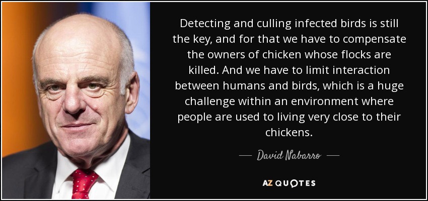 Detecting and culling infected birds is still the key, and for that we have to compensate the owners of chicken whose flocks are killed. And we have to limit interaction between humans and birds, which is a huge challenge within an environment where people are used to living very close to their chickens. - David Nabarro