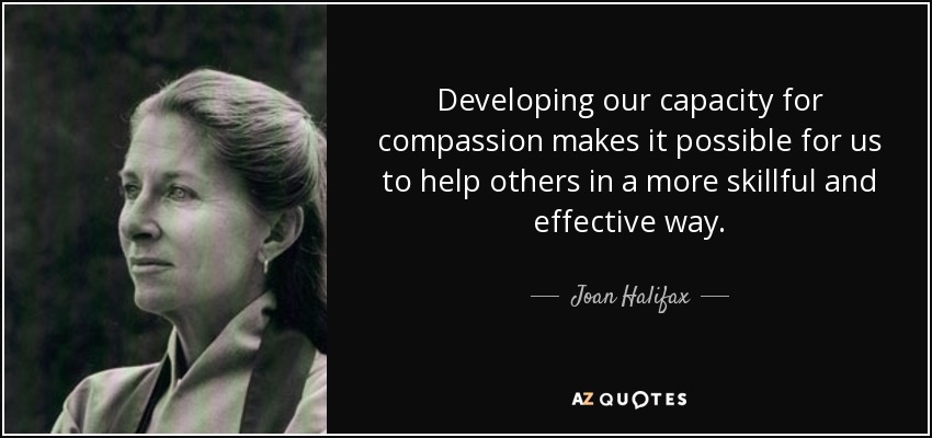Developing our capacity for compassion makes it possible for us to help others in a more skillful and effective way. - Joan Halifax
