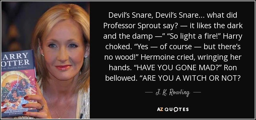 Devil’s Snare, Devil’s Snare . . . what did Professor Sprout say? — it likes the dark and the damp —” “So light a fire!” Harry choked. “Yes — of course — but there’s no wood!” Hermoine cried, wringing her hands. “HAVE YOU GONE MAD?” Ron bellowed. “ARE YOU A WITCH OR NOT? - J. K. Rowling