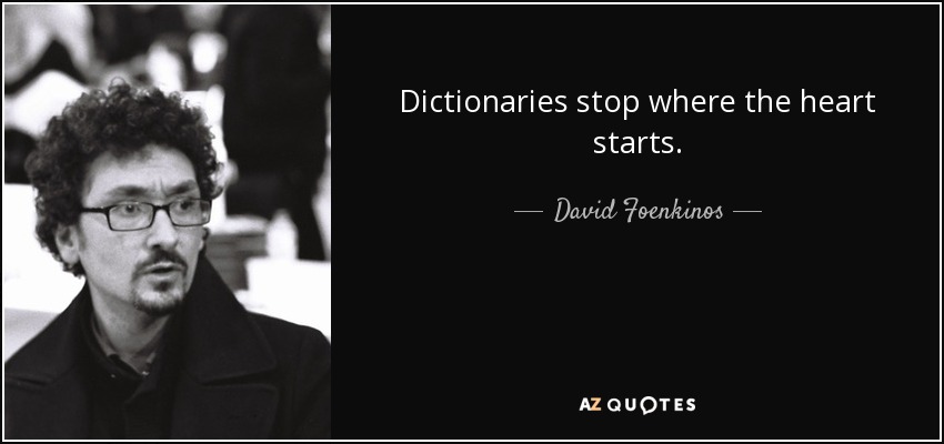 Dictionaries stop where the heart starts. - David Foenkinos