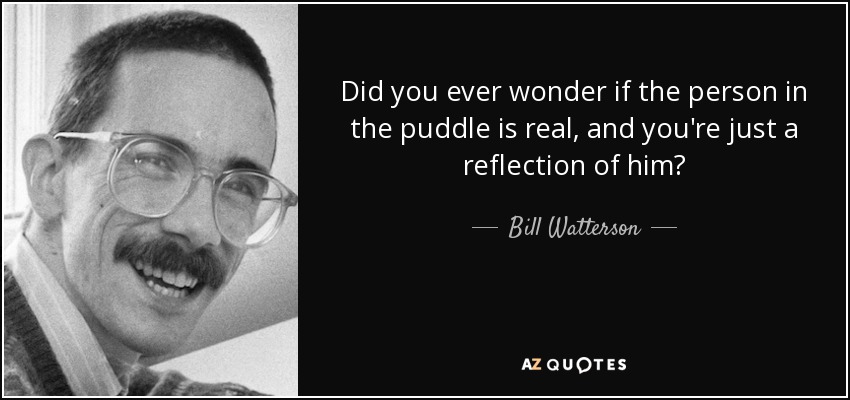 Did you ever wonder if the person in the puddle is real, and you're just a reflection of him? - Bill Watterson