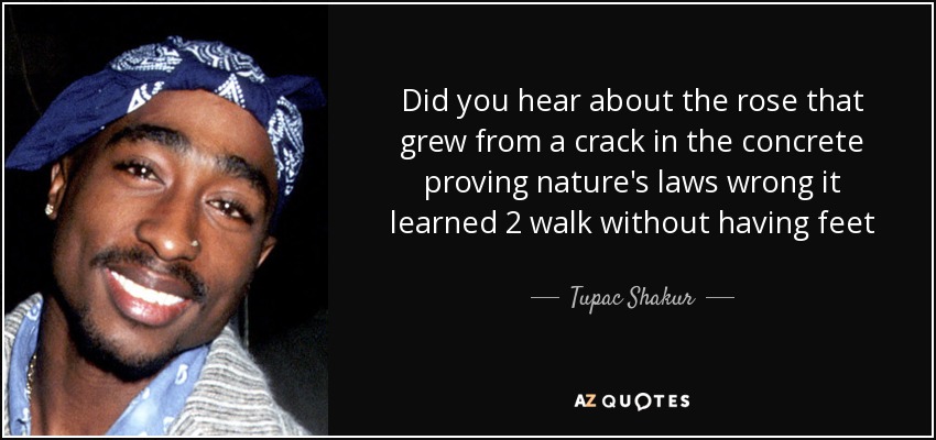 Did you hear about the rose that grew from a crack in the concrete proving nature's laws wrong it learned 2 walk without having feet - Tupac Shakur