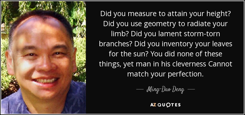Did you measure to attain your height? Did you use geometry to radiate your limb? Did you lament storm-torn branches? Did you inventory your leaves for the sun? You did none of these things, yet man in his cleverness Cannot match your perfection. - Ming-Dao Deng