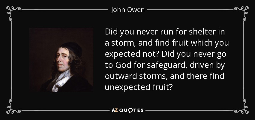 Did you never run for shelter in a storm, and find fruit which you expected not? Did you never go to God for safeguard, driven by outward storms, and there find unexpected fruit? - John Owen
