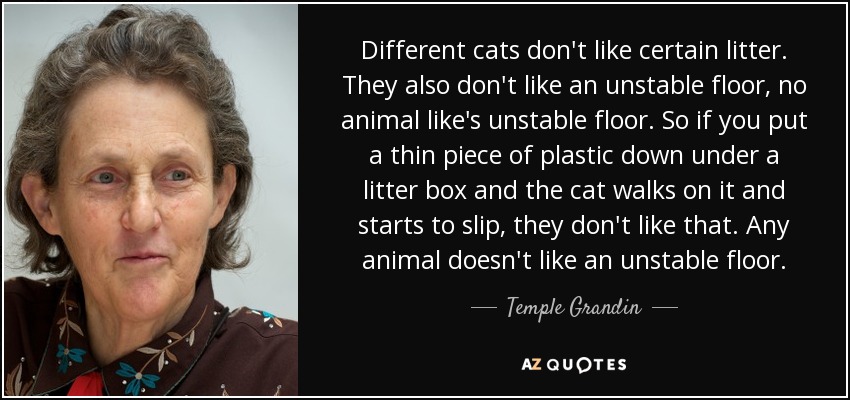 Different cats don't like certain litter. They also don't like an unstable floor, no animal like's unstable floor. So if you put a thin piece of plastic down under a litter box and the cat walks on it and starts to slip, they don't like that. Any animal doesn't like an unstable floor. - Temple Grandin