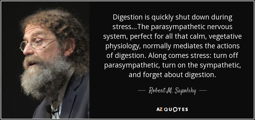 Digestion is quickly shut down during stress…The parasympathetic nervous system, perfect for all that calm, vegetative physiology, normally mediates the actions of digestion. Along comes stress: turn off parasympathetic, turn on the sympathetic, and forget about digestion. - Robert M. Sapolsky