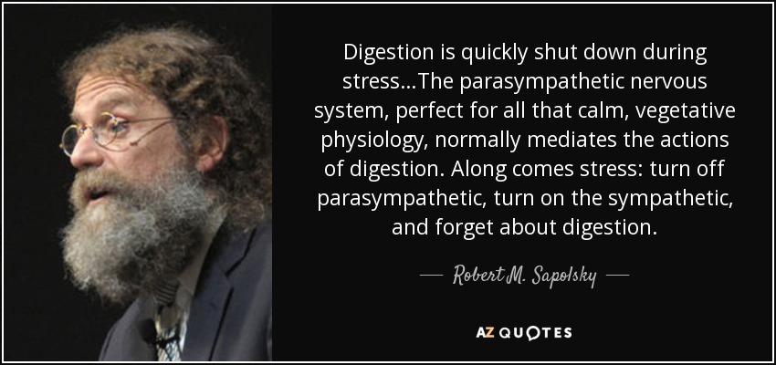 Digestion is quickly shut down during stress…The parasympathetic nervous system, perfect for all that calm, vegetative physiology, normally mediates the actions of digestion. Along comes stress: turn off parasympathetic, turn on the sympathetic, and forget about digestion. - Robert M. Sapolsky
