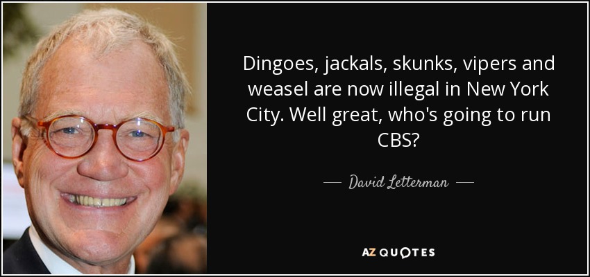 Dingoes, jackals, skunks, vipers and weasel are now illegal in New York City. Well great, who's going to run CBS? - David Letterman