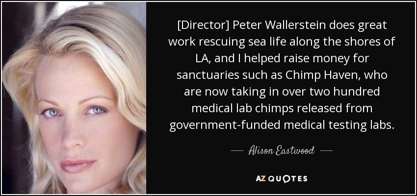 [Director] Peter Wallerstein does great work rescuing sea life along the shores of LA, and I helped raise money for sanctuaries such as Chimp Haven, who are now taking in over two hundred medical lab chimps released from government-funded medical testing labs. - Alison Eastwood