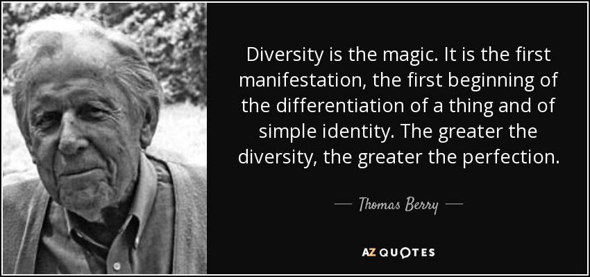 Diversity is the magic. It is the first manifestation, the first beginning of the differentiation of a thing and of simple identity. The greater the diversity, the greater the perfection. - Thomas Berry