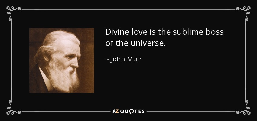 Divine love is the sublime boss of the universe. - John Muir