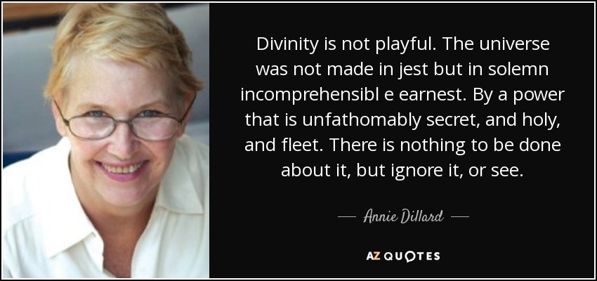 Divinity is not playful. The universe was not made in jest but in solemn incomprehensibl e earnest. By a power that is unfathomably secret, and holy, and fleet. There is nothing to be done about it, but ignore it, or see. - Annie Dillard
