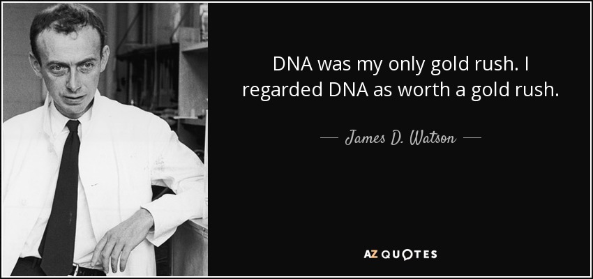 DNA was my only gold rush. I regarded DNA as worth a gold rush. - James D. Watson