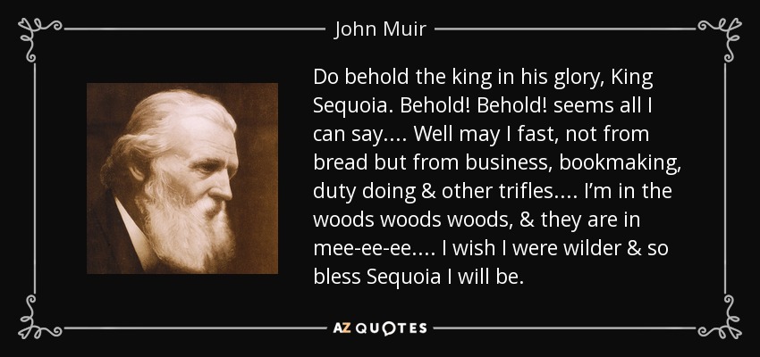 Do behold the king in his glory, King Sequoia. Behold! Behold! seems all I can say.... Well may I fast, not from bread but from business, bookmaking, duty doing & other trifles.... I’m in the woods woods woods, & they are in mee-ee-ee.... I wish I were wilder & so bless Sequoia I will be. - John Muir