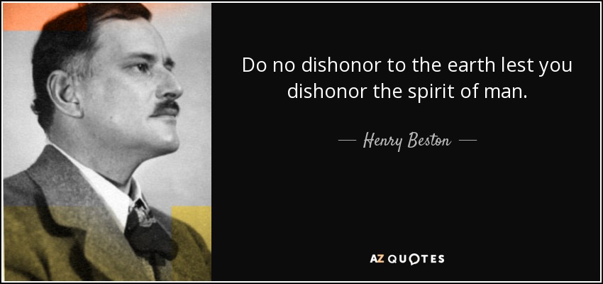 Do no dishonor to the earth lest you dishonor the spirit of man. - Henry Beston