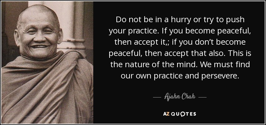 Do not be in a hurry or try to push your practice. If you become peaceful, then accept it,; if you don’t become peaceful, then accept that also. This is the nature of the mind. We must find our own practice and persevere. - Ajahn Chah