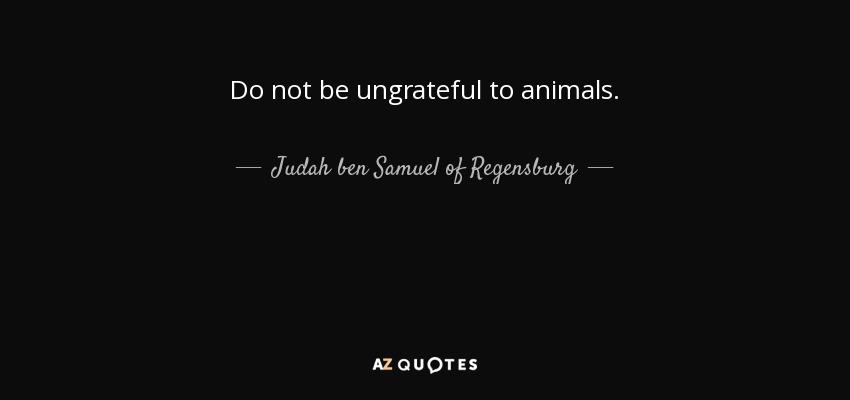 Do not be ungrateful to animals. - Judah ben Samuel of Regensburg